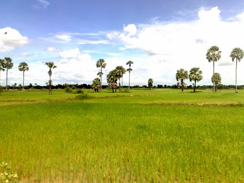 attraction-Kampong Speu Climate 1.jpg